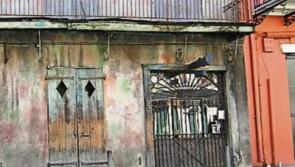 Call for action on owners of derelict Tipperary property