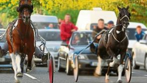 New law to ban 'illegal and dangerous Sulky-Racing' drawn up by Tipperary TD