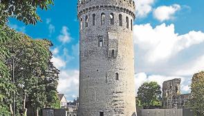 Nenagh 800 cancels events due to Covid-19