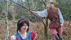 Clonmel panto 'Babes in the Wood' a huge triumph for all involved