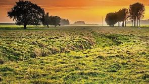 Tipperary farmers spread their wings to buy up land