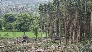 Commencement of 2018 Forestry Premium Payments Announced