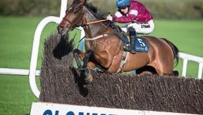 Racing abandoned in Clonmel after five races due to fog