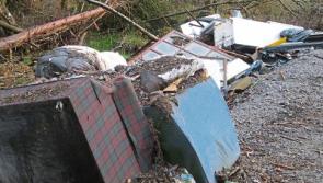 Outrage over illegal dumping in at Liskeveen, Littleton, Co. Tipperary 
