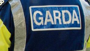 Gardai appeal for help in tracing jeep used in aggravated burglary near Carrick-on-Suir