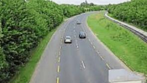 Gardai round up stray horses wandering on Clonmel Bypass 