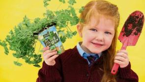 Tipperary Primary Schools invited to apply for free GIY & innocent BIG GROW Pack