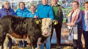 Tipperary farmers urged to donate cattle to unique auction in aid of Alzheimer Society