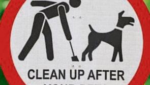No fines issued for dog fouling in Clonmel last year