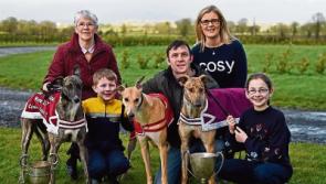 Annual Coursing Festival in Clonmel set to benefit from later date