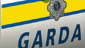 Motorist dies following early morning Tipperary crash