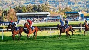 Grant of almost €300,000 approved for Clonmel Racecourse