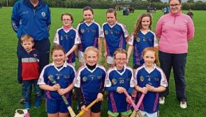 Rockwell Rovers GAA - become a patron of their new book!