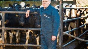 Tipperary farming: ICMSA believes milk prices 'can and must' be held at current levels