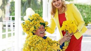Daffodil Day funds critical to support record numbers with cancer