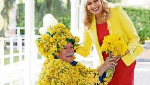 Daffodil Day Launch in Cashel