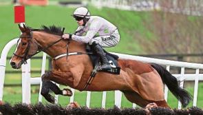 Cheltenham preview - our top tipster names the horses to look out for at the festival