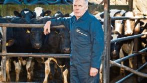 Tipperary economy to be hit by knock-on effect of Glanbia milk cut