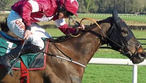 Tipperary punter scoops €10,000 at Cheltenham after picking four winners