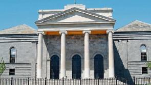 Tipperary court: Nenagh woman was bitten on face by pitbull terrier pup