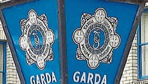Tipperary crime: alleged assault on Nenagh Garda on St Patrick's Day
