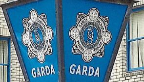 Body found in search for missing Carrick-on-Suir teen Elisha Gault