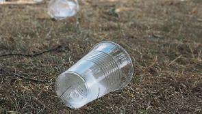 Spring Clean on Clonmel-Dungarvan Road on Easter Saturday morning