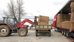 Fodder transport support measures are announced to aid farmers 
