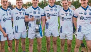 St.Mary's secure victory on return to senior hurling ranks