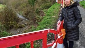 Residents fear storm damaged Co. Tipperary road poses a serious risk to motorists