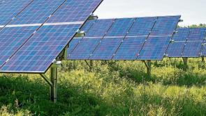 Green light for Solar Farm in Roscrea, Co. Tipperary 