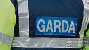 Five arrested for public order offences in Tipperary Garda District&nbsp;