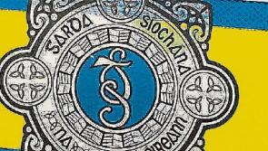 Garda and passer by rescue drowning man from river in Carrick-on-Suir