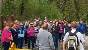 Tipperary naturalists urged to take a walk on the wide side in Cloughjordan