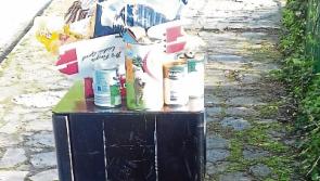Household rubbish being dumped in bin at Clonmel scenic spot