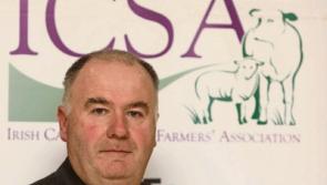 Tipperary crime: ICSA says it is time to reconsider rural CCTV funding criteria
