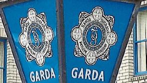 Car set on fire and seven other vehicles broken into in Clonmel car park