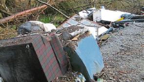 Dumping of litter a national &lsquo;shame&rsquo; - Cashel Tipperary Municipal District 