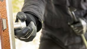 Tools stolen from Rosegreen building site
