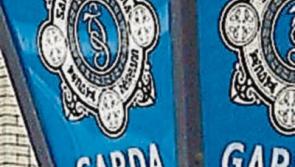 Gardai seize drugs in searches of Cashel houses