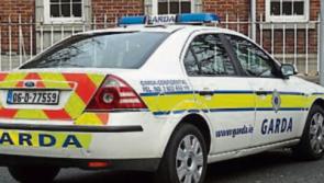 Tipperary road fatality - woman dies after being struck by car near Cahir