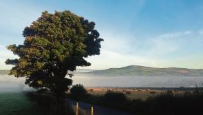 Enjoy summer Fridays with Mid Tipp Hillwalkers