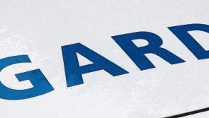 Gardai investigate theft of two vans in South Tipperary 