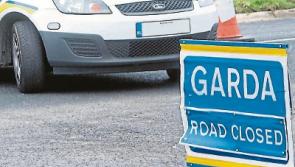 Tipperary tragedy: Gardai seek witnesses to accident that claimed lives of elderly UK couple