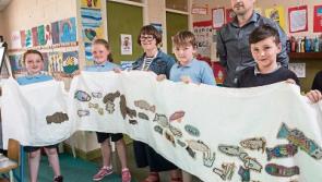Clonmel pupils celebrate the River Suir with special Junction Festival tapestry