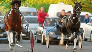 Tipperary County Council seeks to ban sulky driving for u-16s