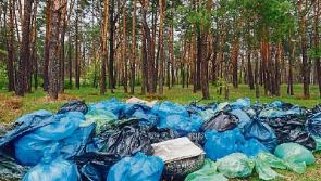 Twelve new waste by-laws to the introduced in Co. Tipperary 