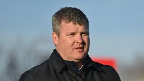 Abacadabras returns to the track at Tipperary on Sunday afternoon