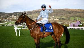 Tipperary jockey Rachael Blackmore ensures that Honeysuckle goes out in a blaze of glory