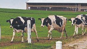 Farm families encouraged to attend County Executive meeting of South Tipperary IFA